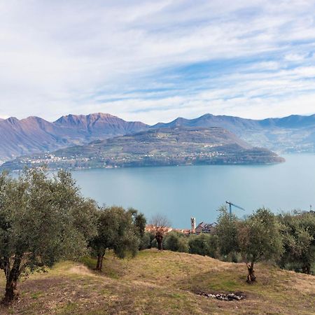 Residenza Coccinelle Vista Lago D'Iseo Tavernola Bergamasca Exterior foto