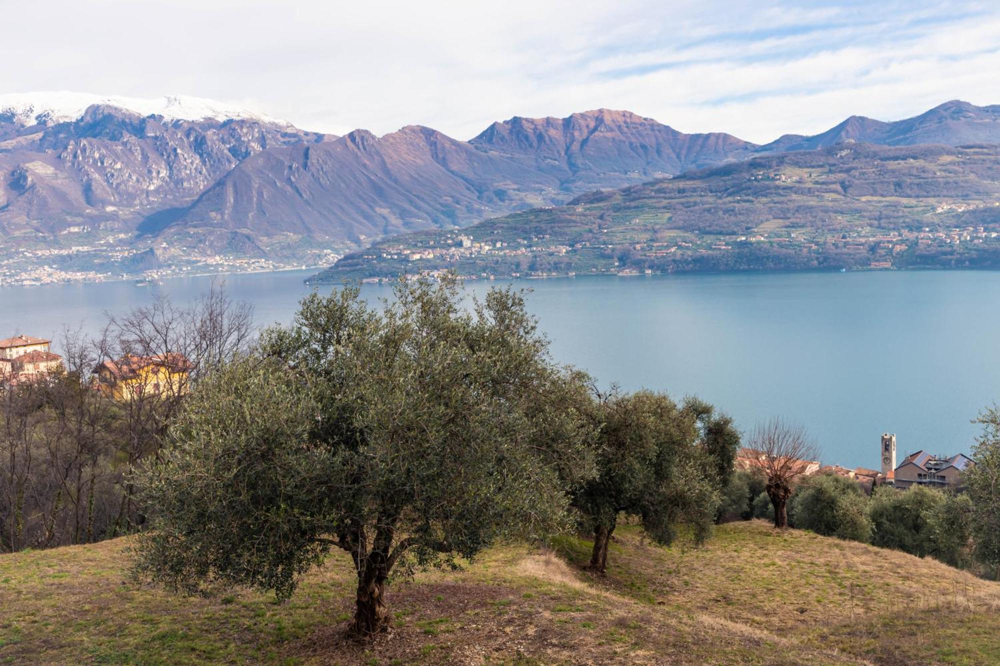 Residenza Coccinelle Vista Lago D'Iseo Tavernola Bergamasca Exterior foto